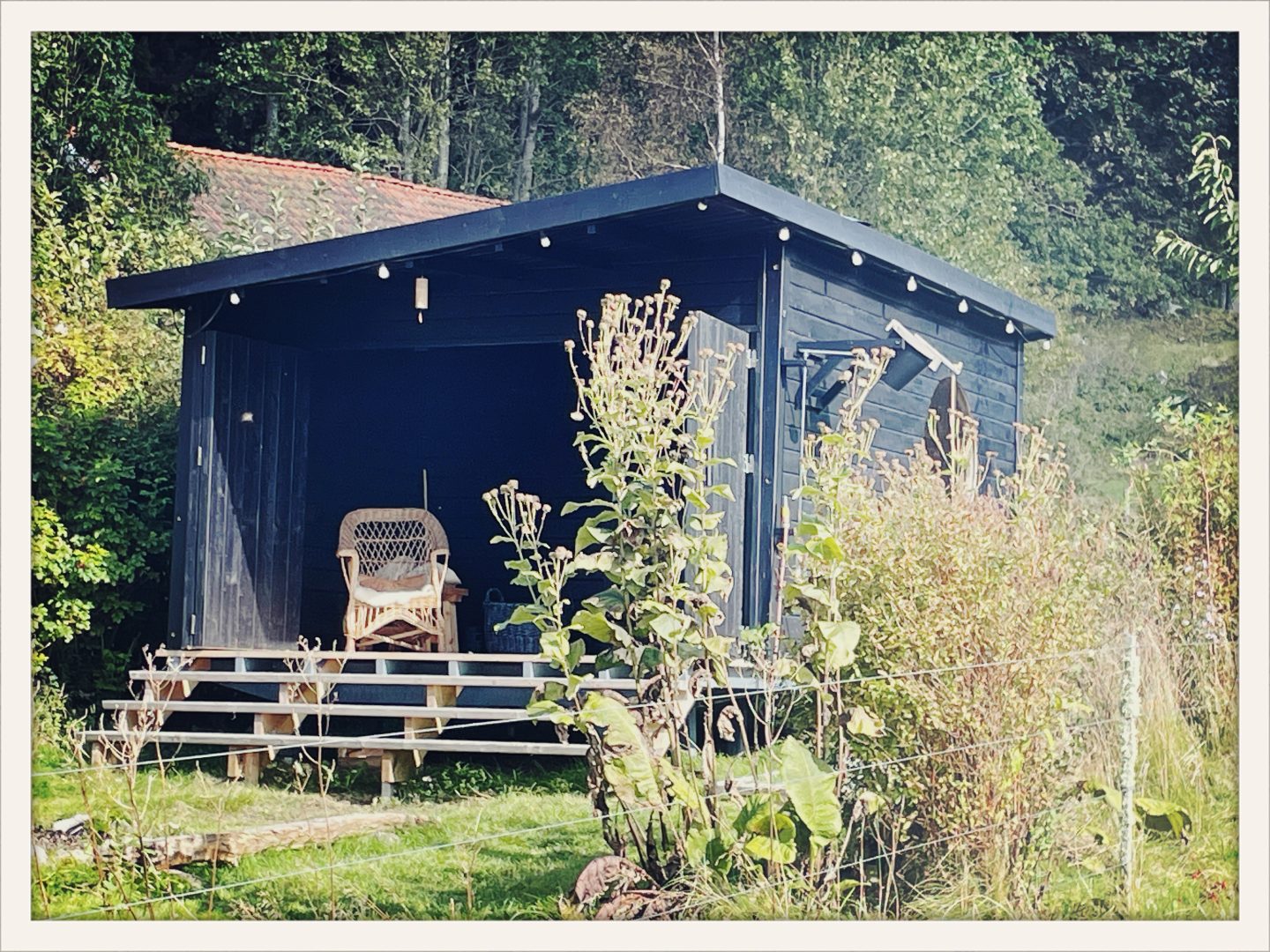 Från ett av Nysnös retreatprogram i Nederländerna
